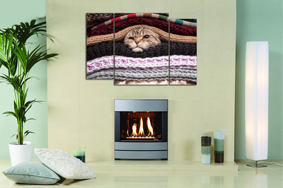 Модульная картина "Кот в тепле"