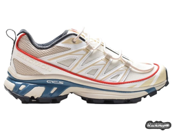SALOMON XT-6 EXPANSE MILK (40-45)