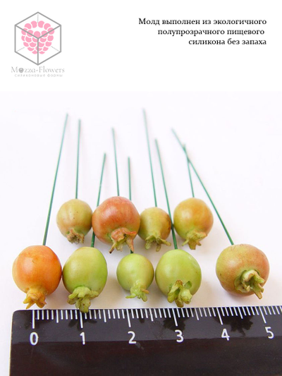 Силиконовый молд  "Дикие яблочки"