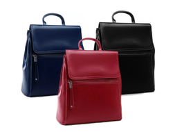 Сумка-рюкзак French с горизонтальной молнией + ПОДАРОК, Цвет: Бордовый, Черный, Синий, Красный,  Изумрудный, Сиреневый