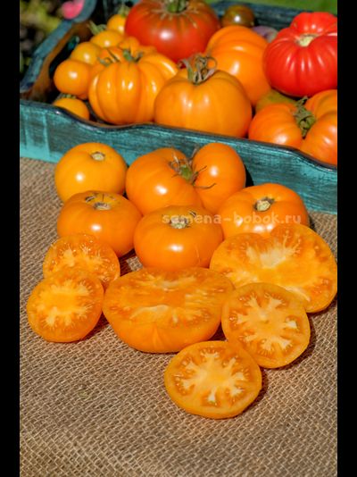 Томат  New Moon (Новолуние), 10 шт