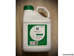 Колосаль, КЭ, (от 50мл до 5л)