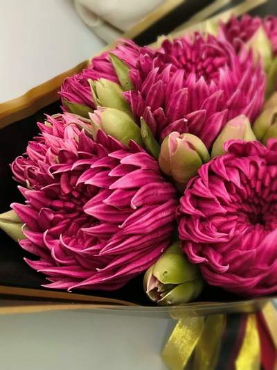 хризантемы из зефира