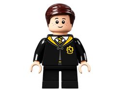 Justin Finch-Fletchley, n/a (hp306)