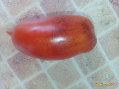 Томат Osu o Blonde avec Tetons (Пышногрудая блондинка Osu)