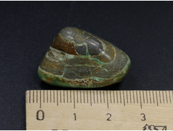 Варисцит, галтовка, США (28*18*15 мм, 8,3 г) №24739