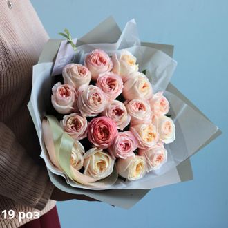 Букет 19 пионовидных роз с упаковкой
