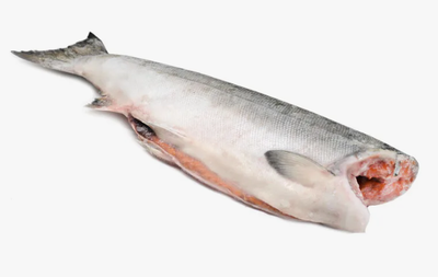 КИЖУЧ потрошеный без головы. Сухой заморозки.