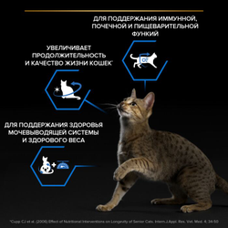 Pro Plan (Про План) Sterilised 7+ сухой корм для пожилых стерилизованных кошек старше 7 лет, с индейкой, 1,5 кг
