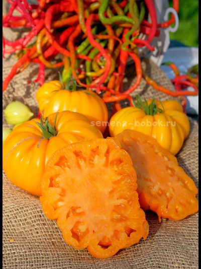 Томат Oro Giant (ОРО Гигант), 10 шт