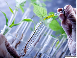 Биоинсектициды (от насекомых)