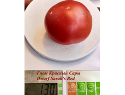 Томат Гном Красный Сары (Dwarf Sarah's red tomato)