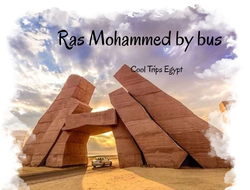 Ras Mohammed by bus for half day