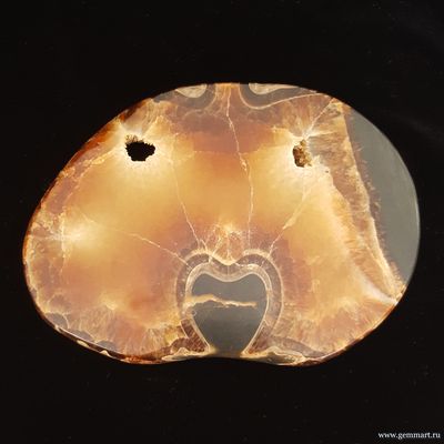 Аммонит, полированный с 2-х сторон спил. Россия.