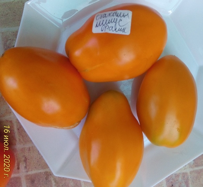 Томат Стаканы оранжевые минусинские