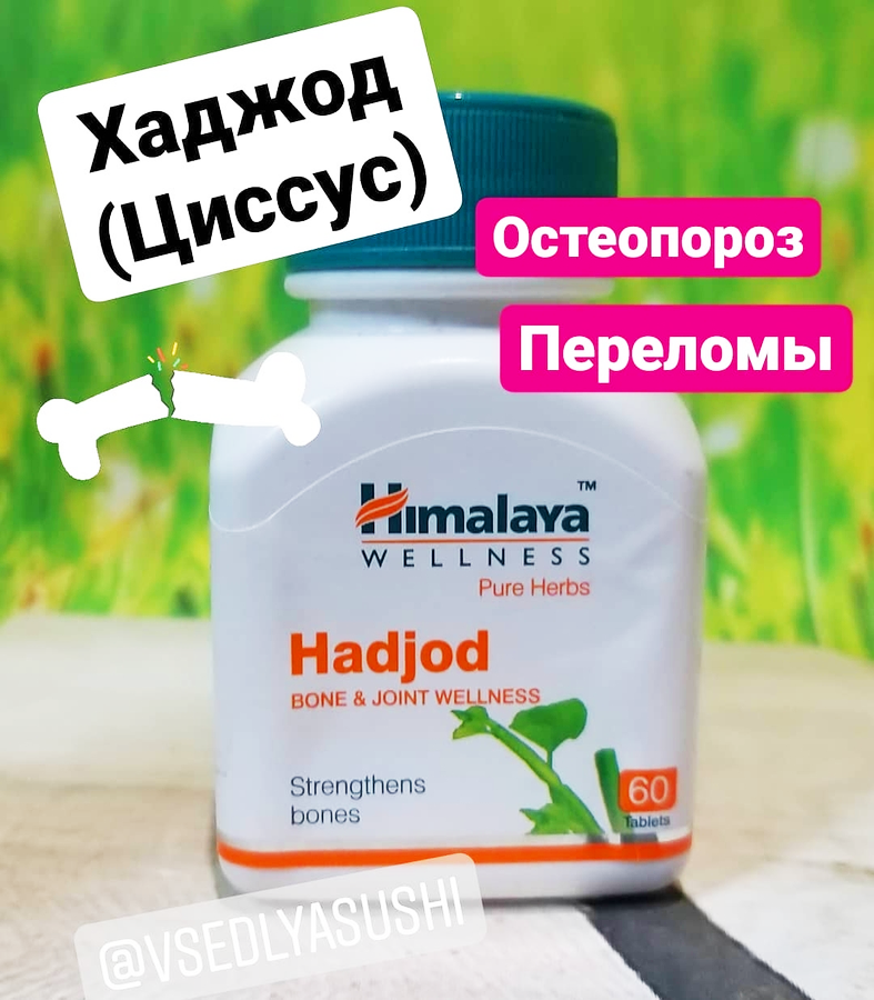 Hadjod (ХАДЖОД) Himalaya (Индия)