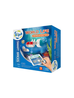 WORLD LIFE - MANDARINFISH/ Животный мир - Мандариновая рыбка