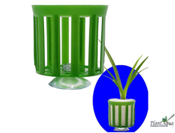 Swetaqua Pot Small - Горшочек для растения с присоской