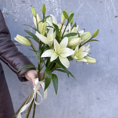 Букет из 5 лилий