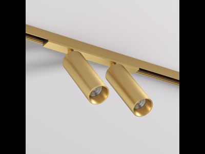 Светильник для трека SHINE SPOT DK5742-SB