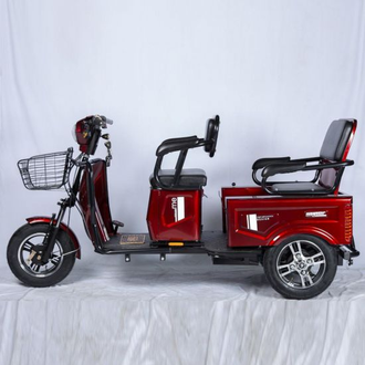 E-trike Pass&Cargo