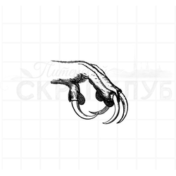 штамп винтажный лапа филина