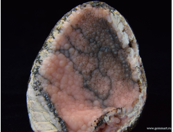 Родохрозит  в полости ракушки. 58*47*23мм