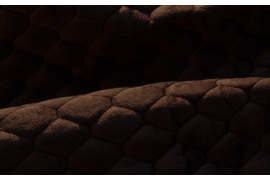 CASPIA 06 Black Coffe