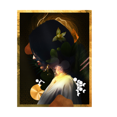 PIERRE GUILLAUME LA NUIT DE L ORCHIDEE