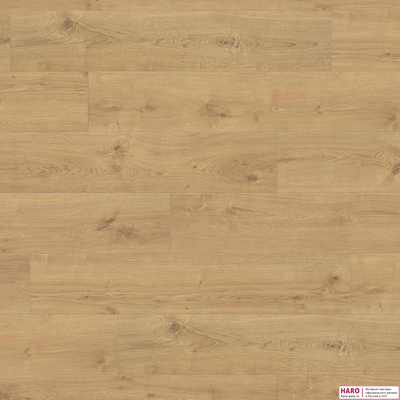 Декор ламината Haro Tritty 100 Campus Дуб Портлэнд Пуро 544751фронт