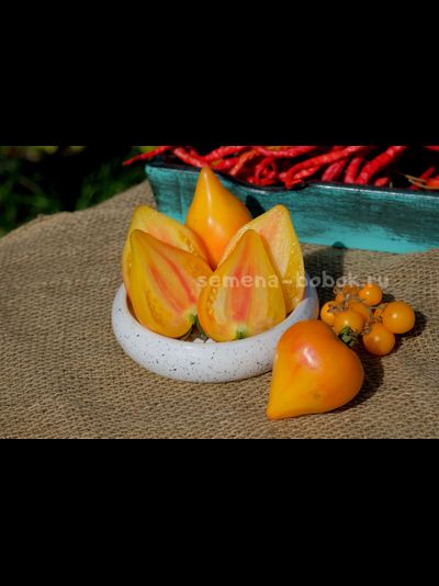 Томат Fred (Фред), 10 шт