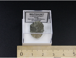 Марказит (Сферолит), в пластиковом боксе, Крым, с. Доброе №24182