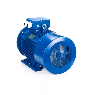 Электродвигатель АИС 180L4 (22 кВт) IM B35
