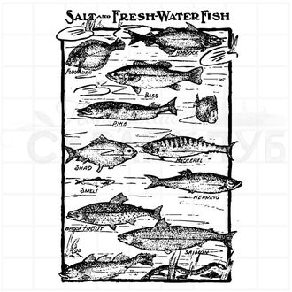 Фоновый винтажный штамп с плывущими рыбами