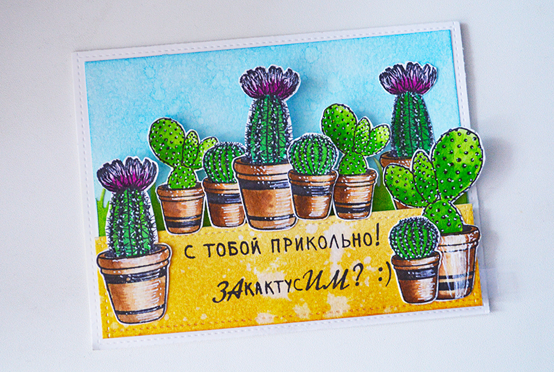 Кактус на день рождения