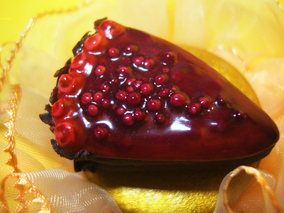 Брошь "Ещё кусочек ягодно-шоколадного тортика"