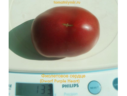 Томат Гном Фиолетовое Сердце (Dwarf Purple Heart )