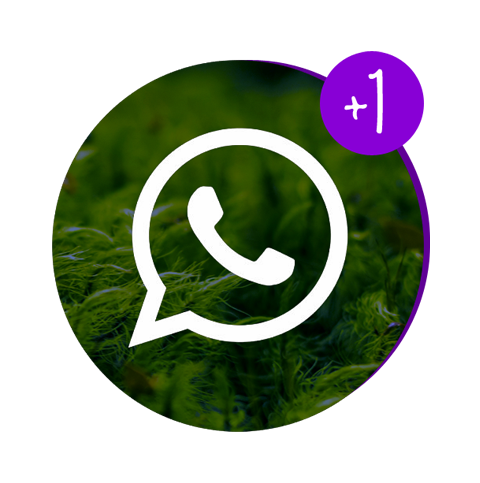 Есть вопрос? Напишите мне на WhatsApp
