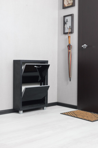 Обувница Айрон-2 (фасад стекло черное)