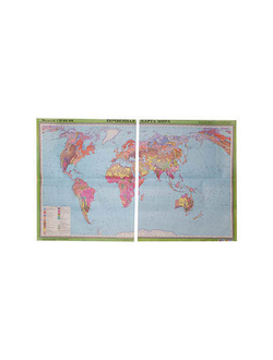 Учебная карта "Почвенная карта мира" (матовое, 2-стороннее лам.)