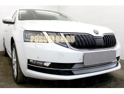 Защита радиатора Skoda Oktavia А7 2017- chrome