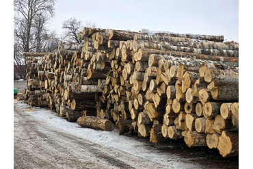Заготовка сырья для производства