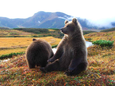 отдых на Медвежьей тундре