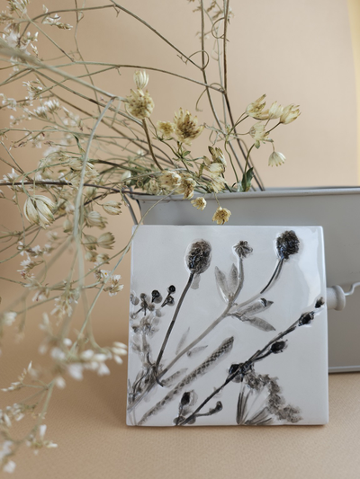 Ястребиночка // 10*10