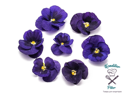 Виола обезвоженная Polar Star - Полярная звезда, 3 шт