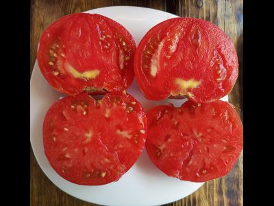 Томат Топтыгин