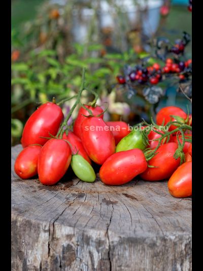 Томат Пальчики Мальвины, 10 шт