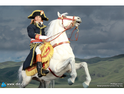 Конь Наполеона - Коллекционная фигурка 1/6 Napoleon White War Horse (Prancing) (E60078) - DID