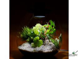 Биобутылка Biolark LED PD 210 (215мм х 240мм)