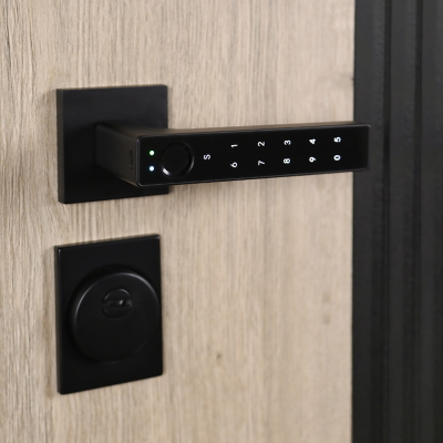 Стальная дверь   Конструктор (умная электронная дверная ручка с отпечатком пальца Smart lock T888 черная)